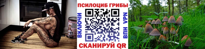 Купить закладки  Шагонар  Галлюциногенные грибы Magic Shrooms 